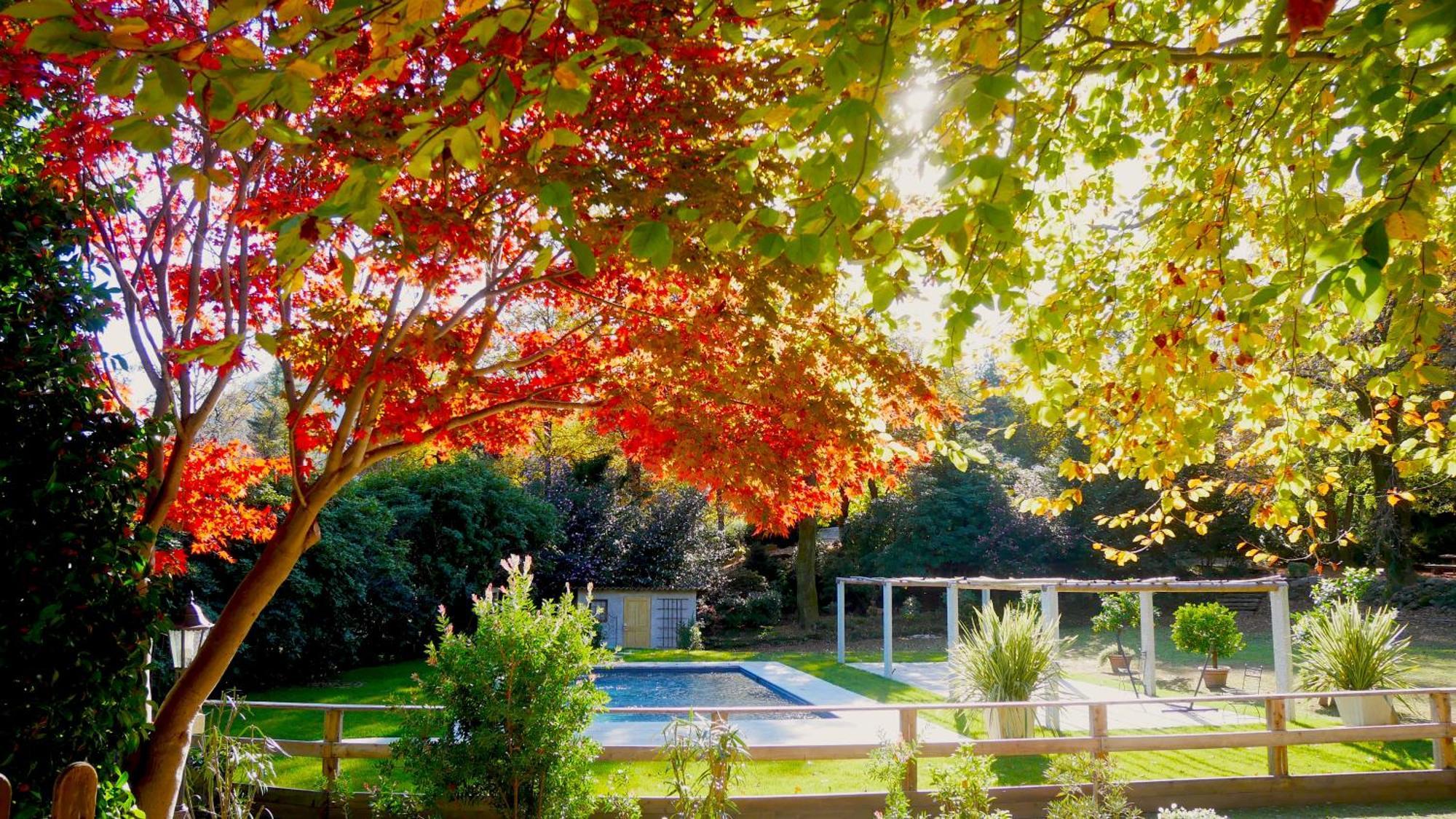 Eco-resort Parco Botanico Fiorlago Mergozzo